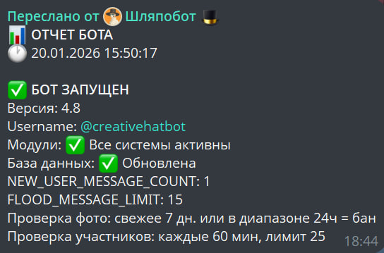 Пример отчета бота о его запуске