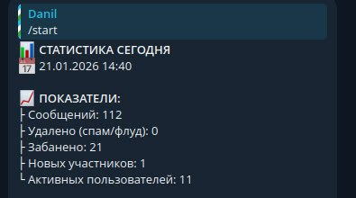 Пример статистики чата за определенный период (за сутки)